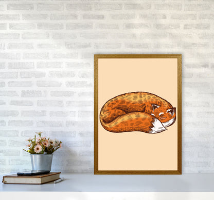The Sleeping Fox Art Print by Jason Stanley A2 Print Only