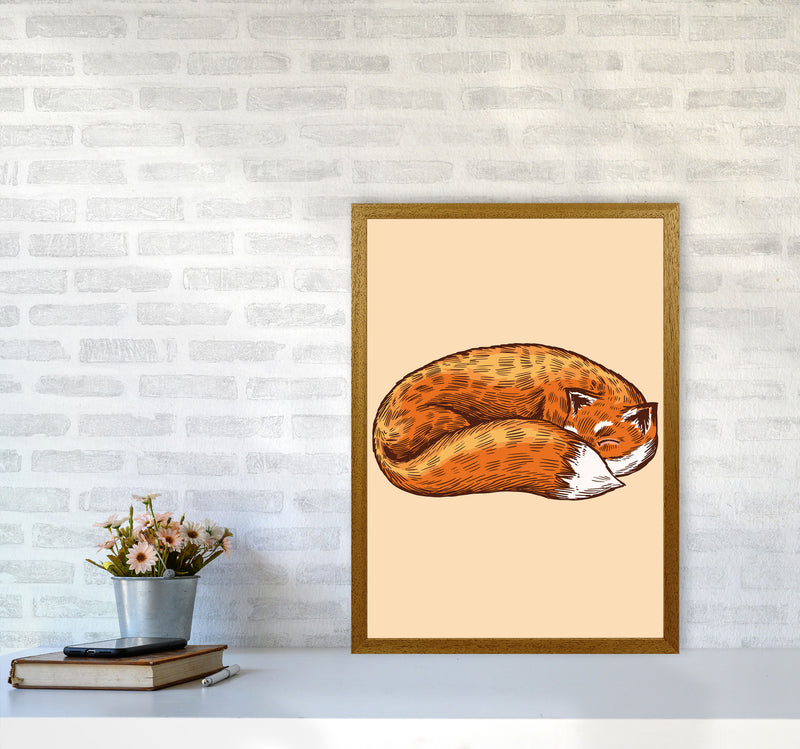 The Sleeping Fox Art Print by Jason Stanley A2 Print Only