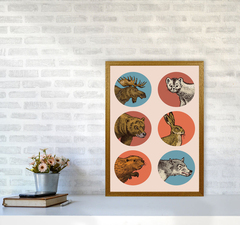 Animal Circles Art Print by Jason Stanley A2 Print Only