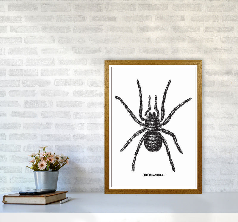The Tarantula Art Print by Jason Stanley A2 Print Only