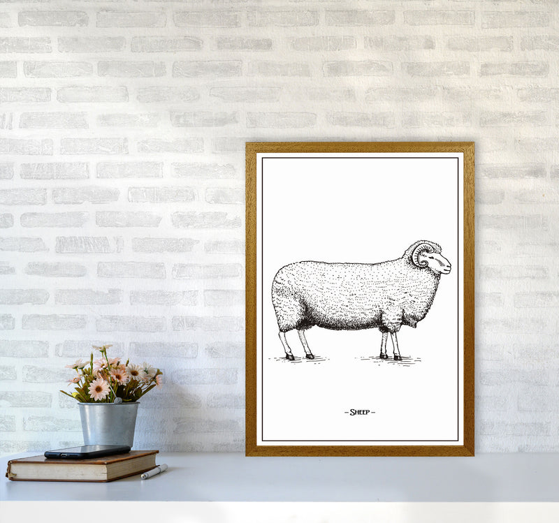 Sheep Art Print by Jason Stanley A2 Print Only