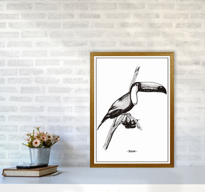 Tucan Art Print by Jason Stanley A2 Print Only