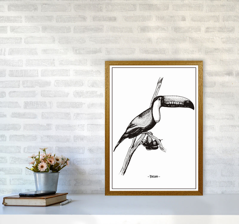 Tucan Art Print by Jason Stanley A2 Print Only