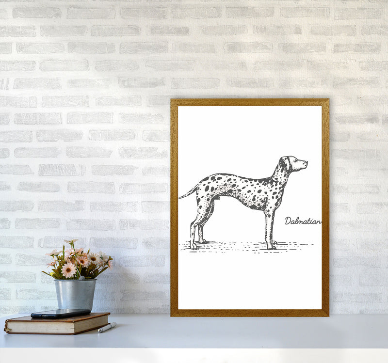 Dalmation Art Print by Jason Stanley A2 Print Only