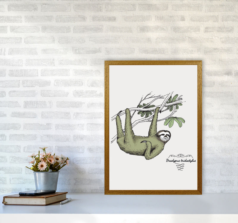 Sloth Art Print by Jason Stanley A2 Print Only