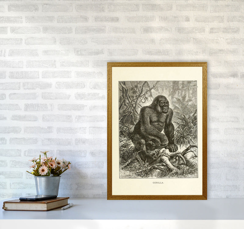 The Other King Of The Jungle Art Print by Jason Stanley A2 Print Only