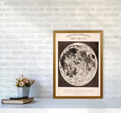 Telescopic Appearance Of The Moon Art Print by Jason Stanley A2 Print Only