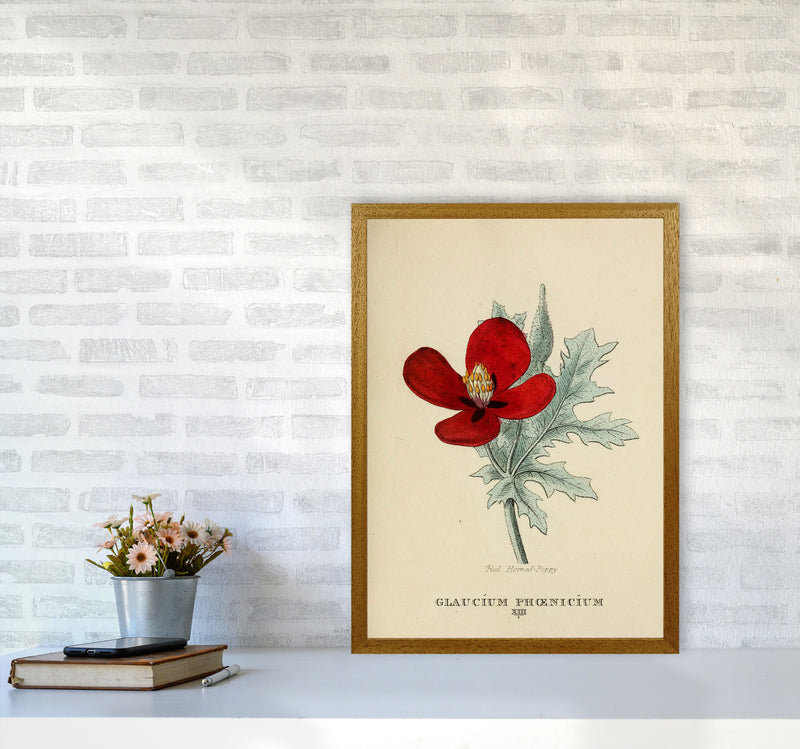 Vintage Flower Series 2 Art Print by Jason Stanley A2 Print Only