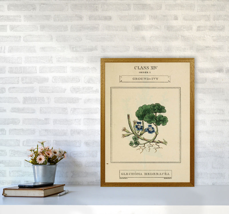 Vintage Flower Series 8 Art Print by Jason Stanley A2 Print Only
