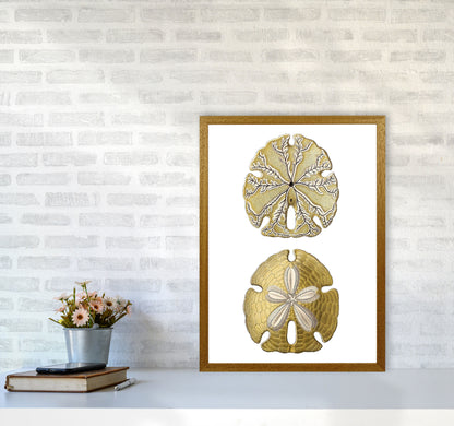 Sand Dollar Illustration Art Print by Jason Stanley A2 Print Only