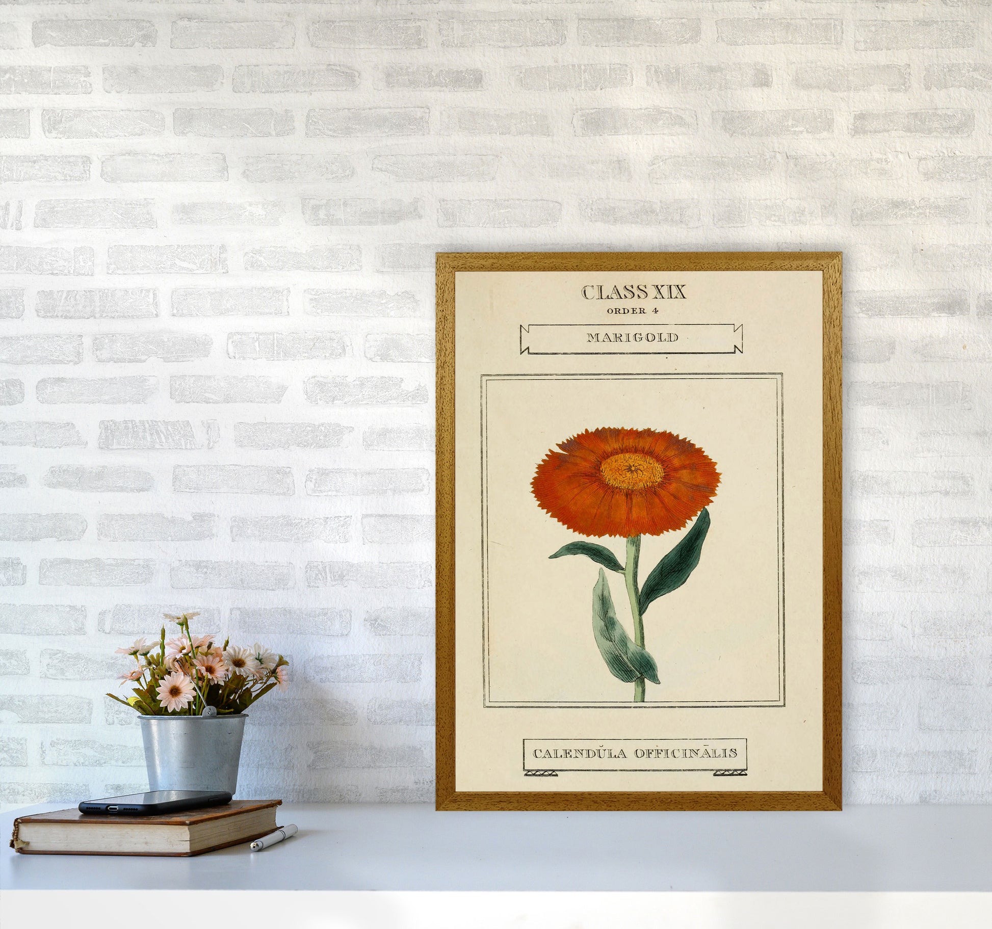 Vintage Flower Series 9 Art Print by Jason Stanley A2 Print Only