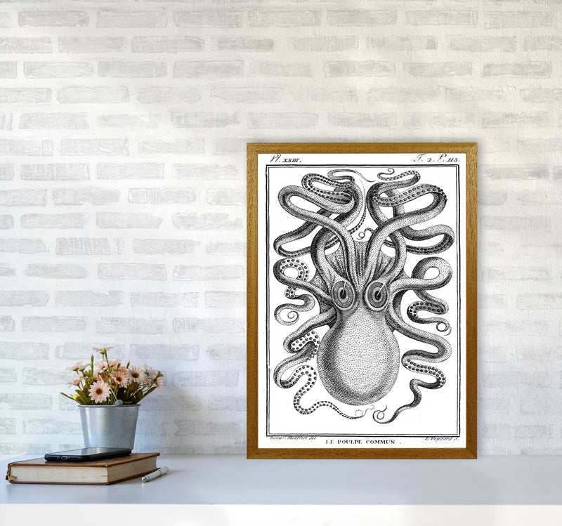 White Vintage Octopus Art Print by Jason Stanley A2 Print Only