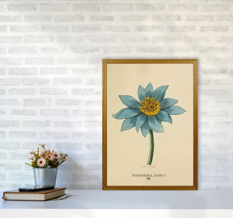 Vintage Lotus Flower Art Print by Jason Stanley A2 Print Only