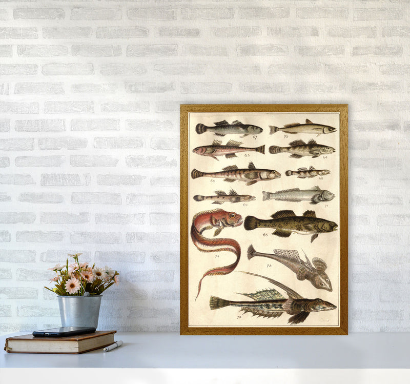 Creatures Of The Sea Art Print by Jason Stanley A2 Print Only