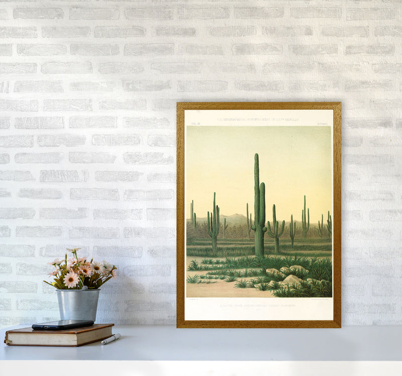 Vintage Desert Cactus Art Print by Jason Stanley A2 Print Only