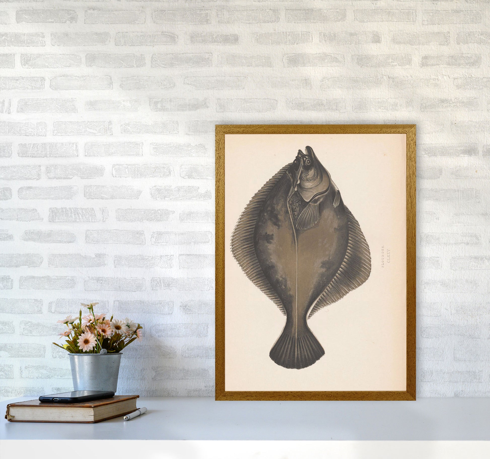 Vintage Flounder Art Print by Jason Stanley A2 Print Only