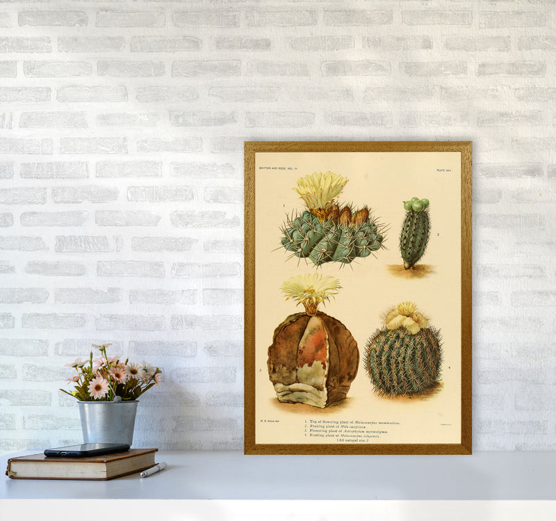 Cactus Series 16 Art Print by Jason Stanley A2 Print Only
