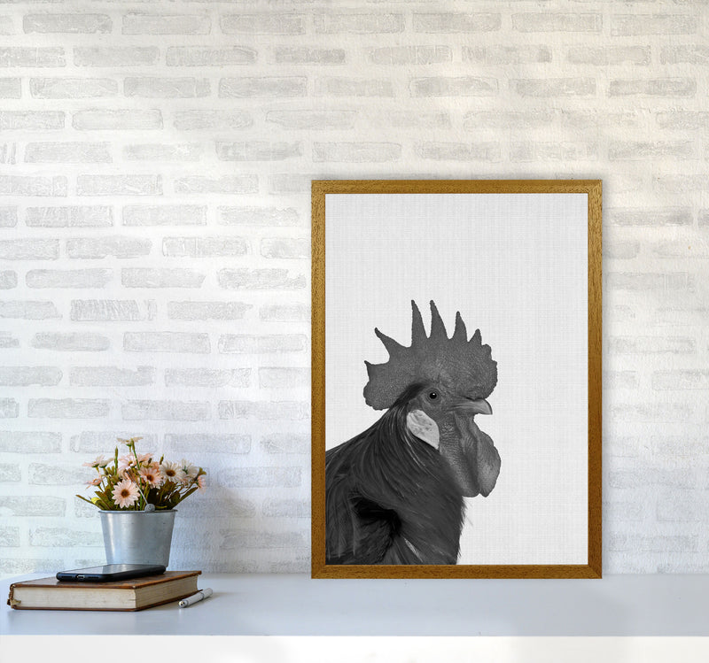 Cock A Doodle Doo Art Print by Jason Stanley A2 Print Only