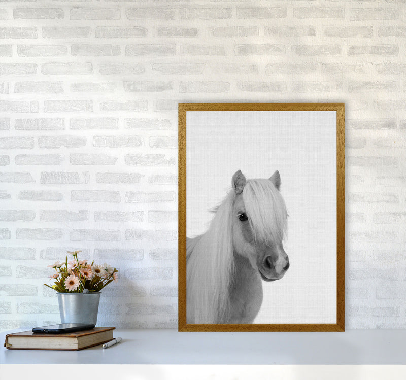 Stay Gold Pony Boy Art Print by Jason Stanley A2 Print Only