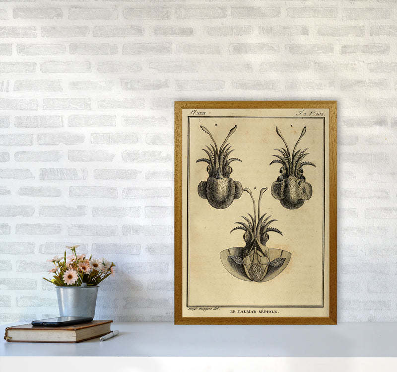 Vintage Squid 3 Art Print by Jason Stanley A2 Print Only