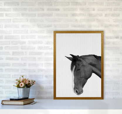Man's Best Friend Art Print by Jason Stanley A2 Print Only
