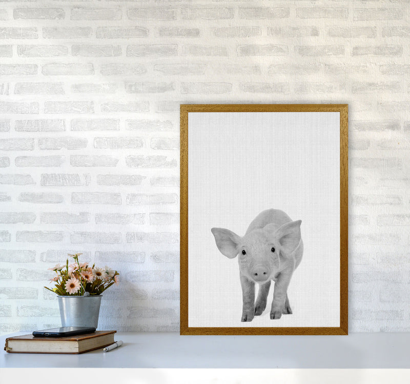 The Cutest Pig Art Print by Jason Stanley A2 Print Only