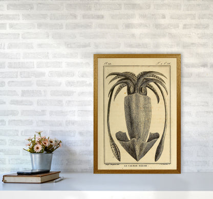 Vintage Squid 2 Art Print by Jason Stanley A2 Print Only