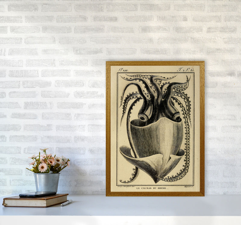 Vintage Squid Art Print by Jason Stanley A2 Print Only