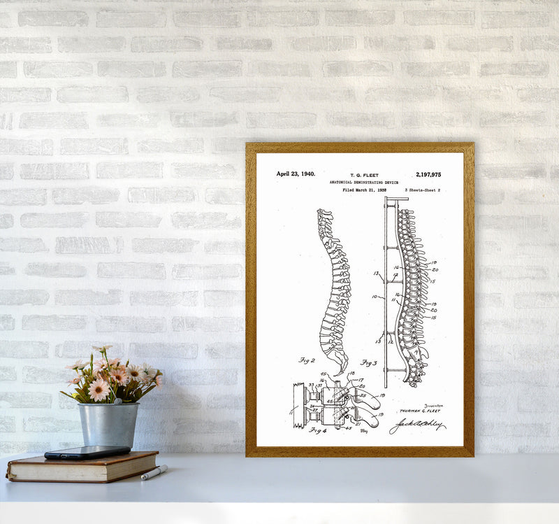 Anatomical Spine Display Patent Art Print by Jason Stanley A2 Print Only