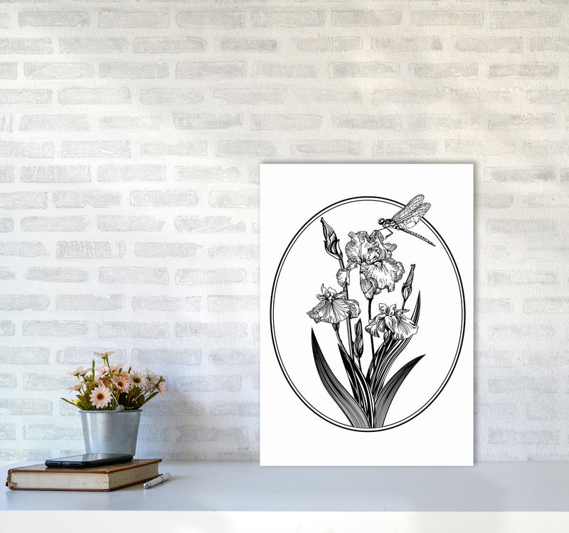 Vintage Beautiful Flower Art Print by Jason Stanley A2 Black Frame