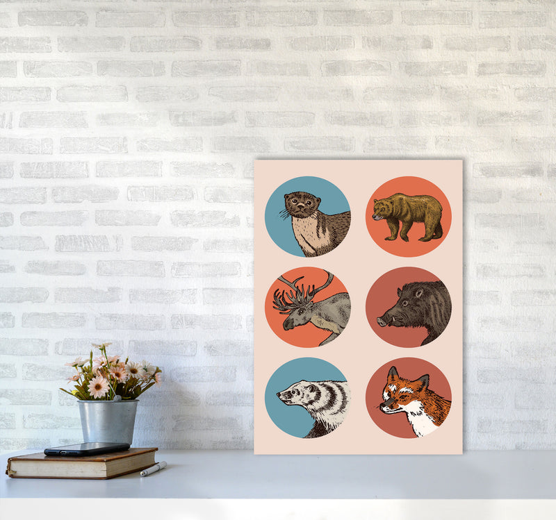 Animal Circles II Art Print by Jason Stanley A2 Black Frame
