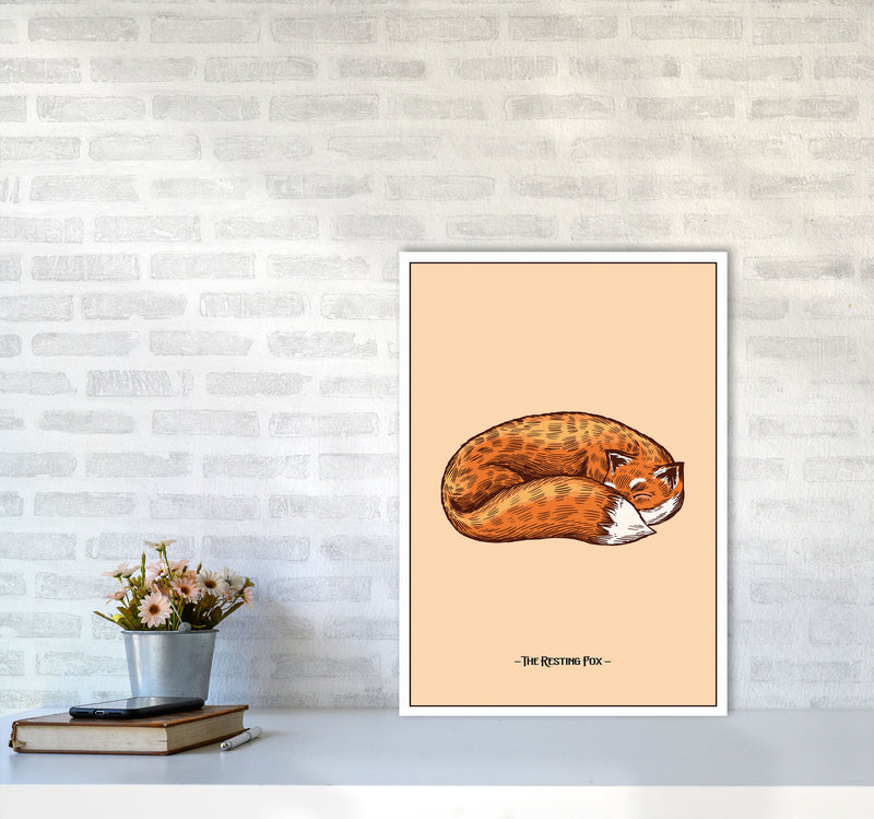 The Resting Fox Art Print by Jason Stanley A2 Black Frame