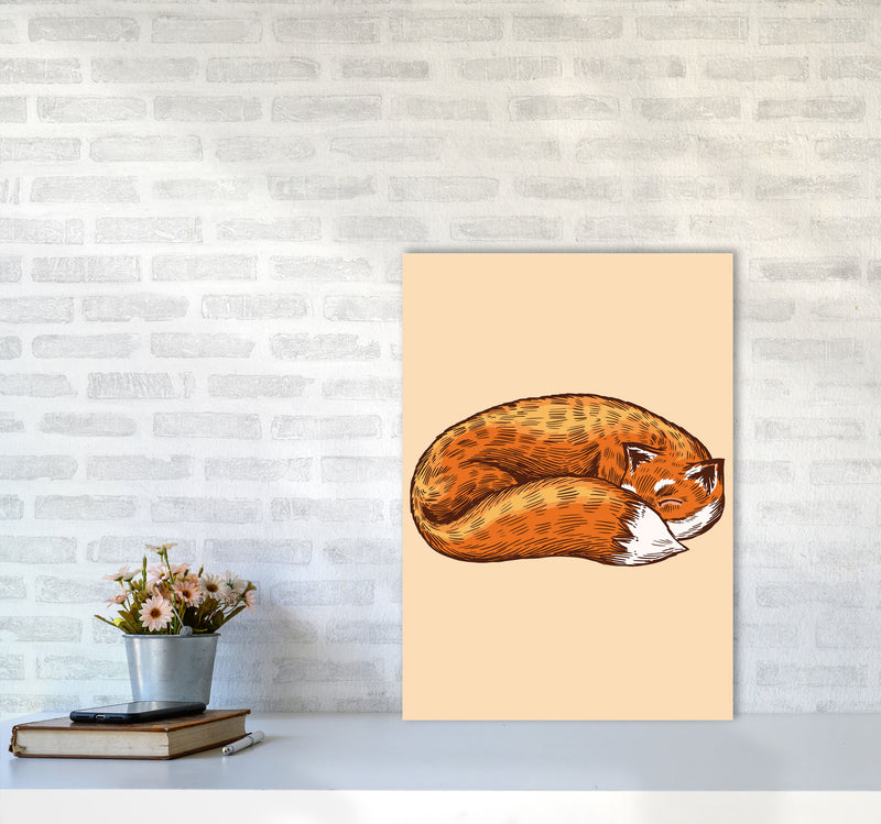 The Sleeping Fox Art Print by Jason Stanley A2 Black Frame