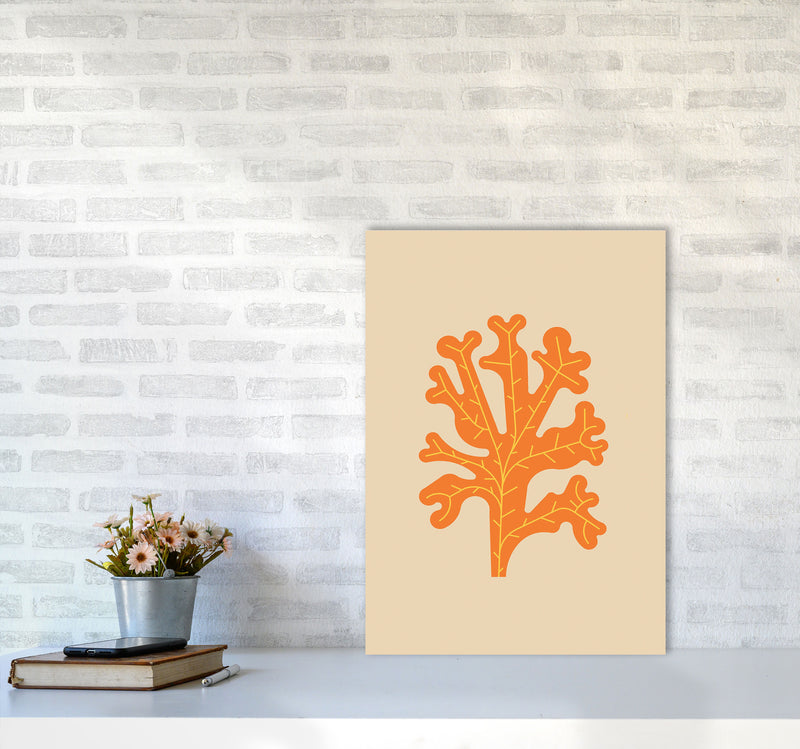 Orange Seaweed Art Print by Jason Stanley A2 Black Frame