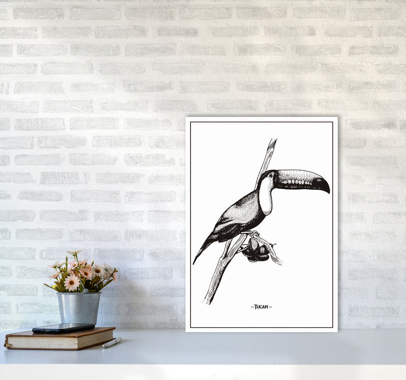 Tucan Art Print by Jason Stanley A2 Black Frame