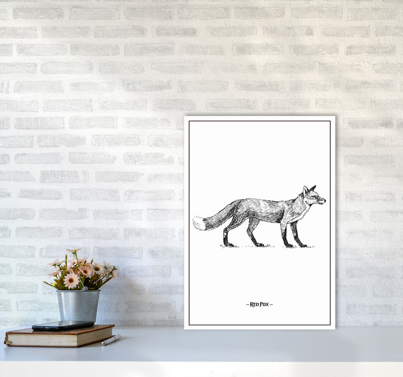 Red Fox Art Print by Jason Stanley A2 Black Frame
