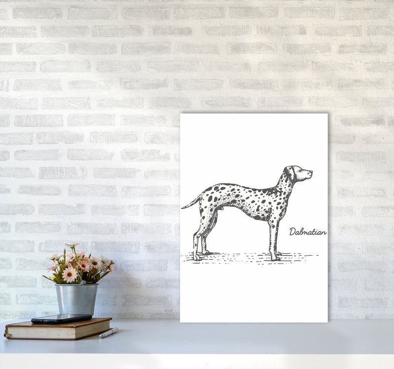 Dalmation Art Print by Jason Stanley A2 Black Frame