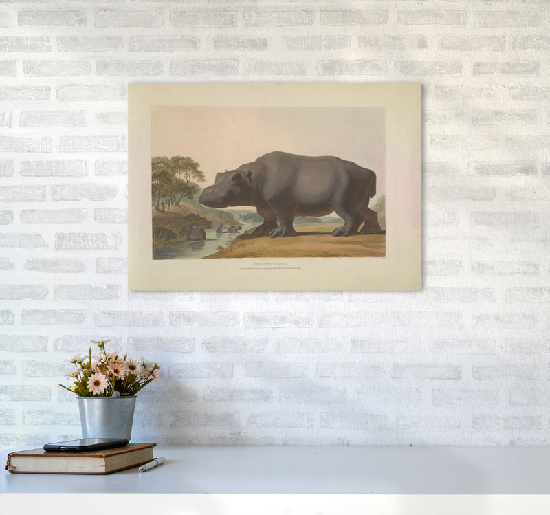 Vintage Hippo Illustration Art Print by Jason Stanley A2 Black Frame