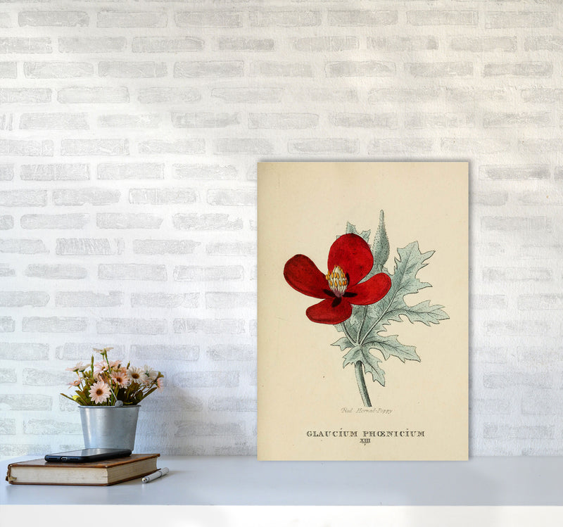 Vintage Flower Series 2 Art Print by Jason Stanley A2 Black Frame