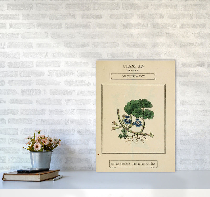 Vintage Flower Series 8 Art Print by Jason Stanley A2 Black Frame