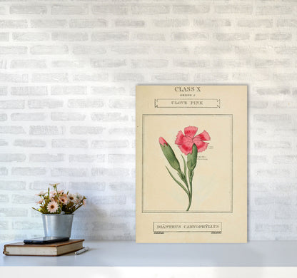 Vintage Flower Series 4 Art Print by Jason Stanley A2 Black Frame