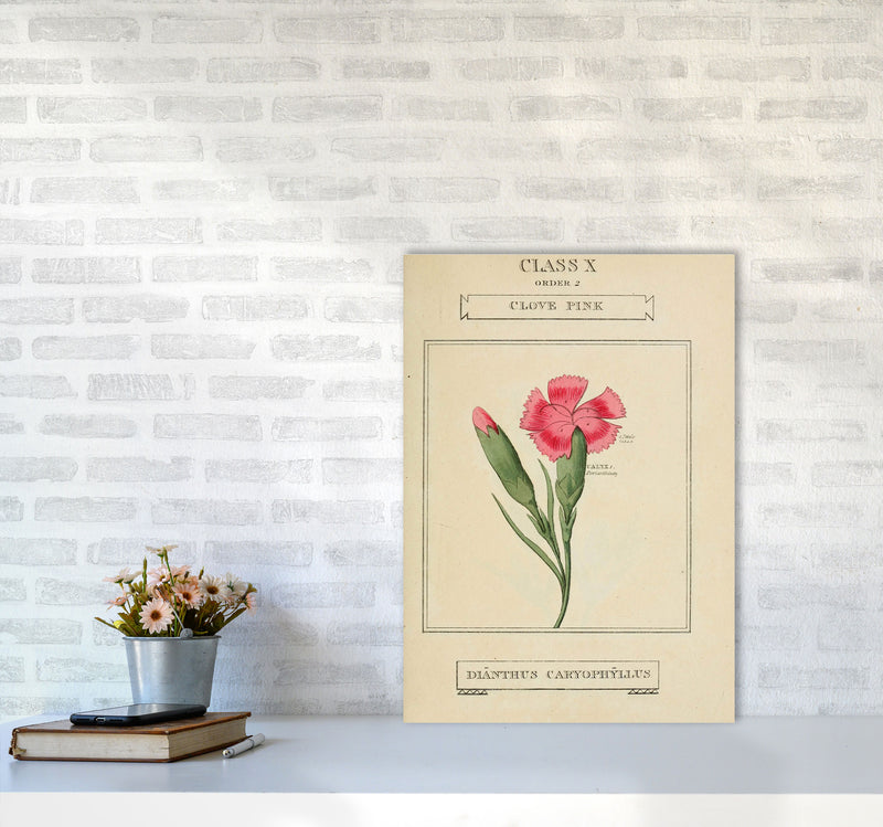Vintage Flower Series 4 Art Print by Jason Stanley A2 Black Frame