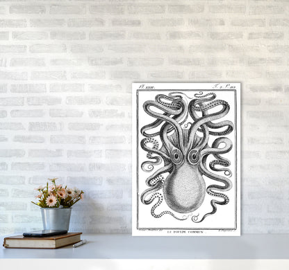 White Vintage Octopus Art Print by Jason Stanley A2 Black Frame