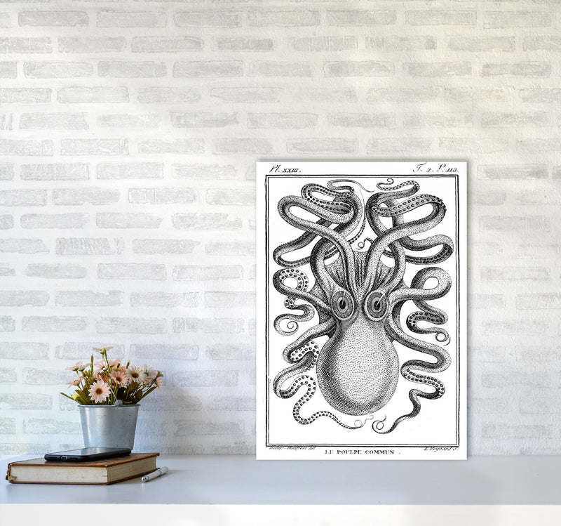 White Vintage Octopus Art Print by Jason Stanley A2 Black Frame