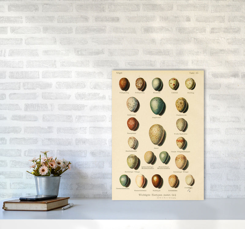 Vintage Set Of Eggs Art Print by Jason Stanley A2 Black Frame