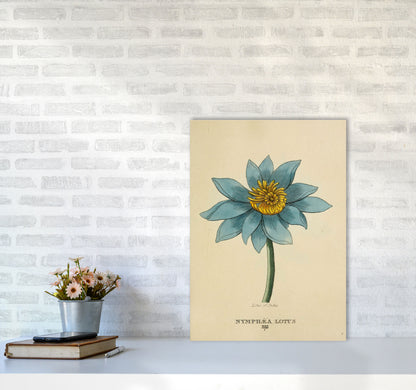 Vintage Lotus Flower Art Print by Jason Stanley A2 Black Frame