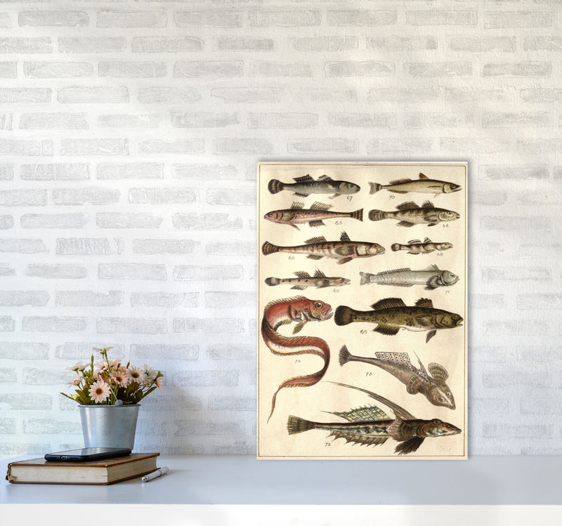 Creatures Of The Sea Art Print by Jason Stanley A2 Black Frame