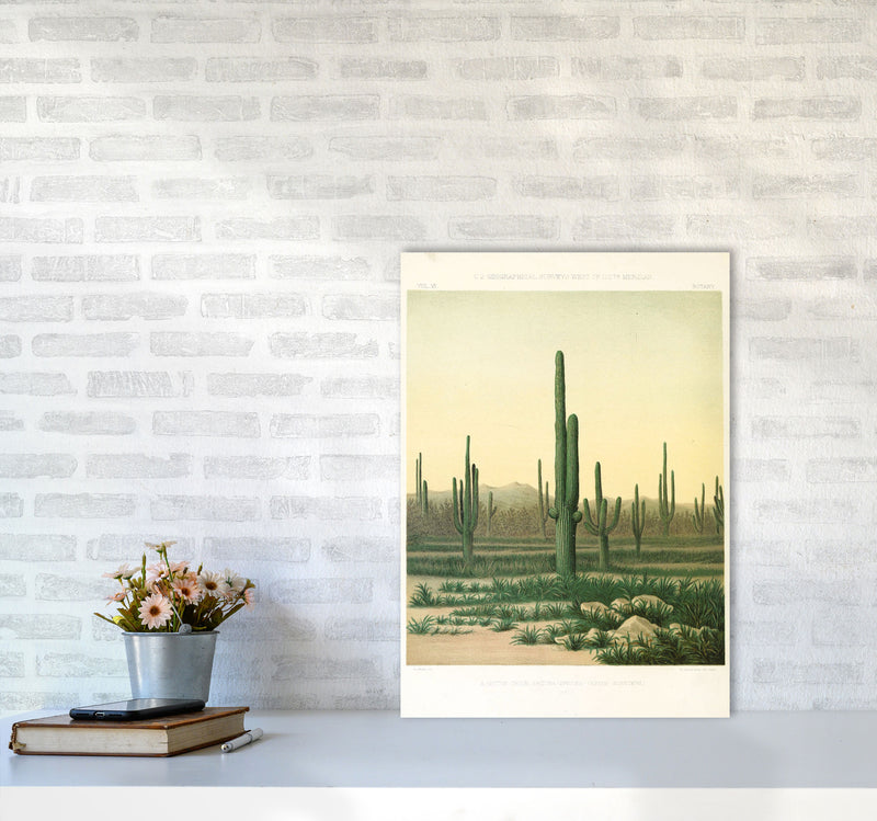 Vintage Desert Cactus Art Print by Jason Stanley A2 Black Frame