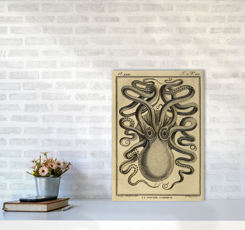 Vintage Octopus 2 Art Print by Jason Stanley A2 Black Frame