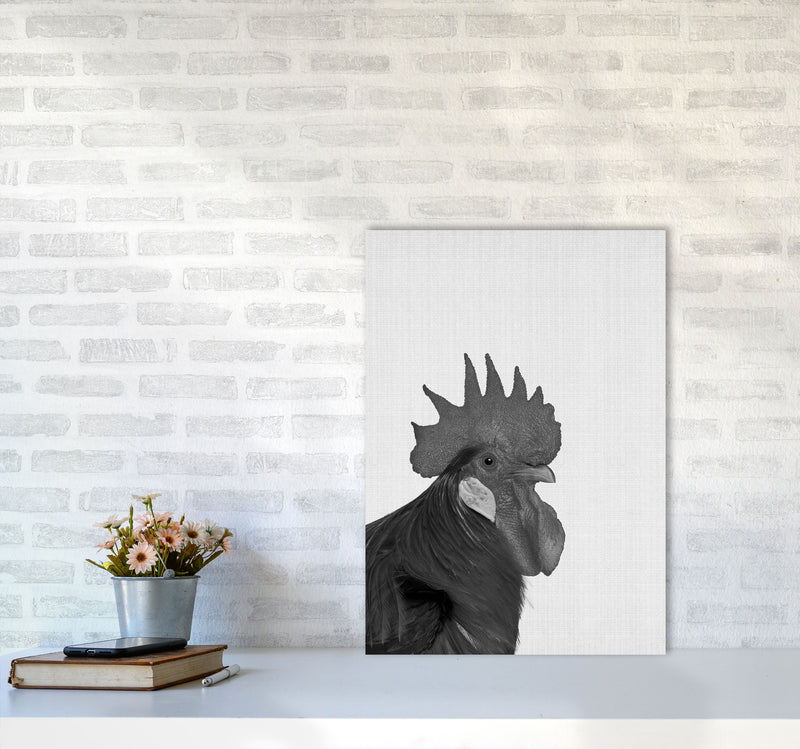 Cock A Doodle Doo Art Print by Jason Stanley A2 Black Frame